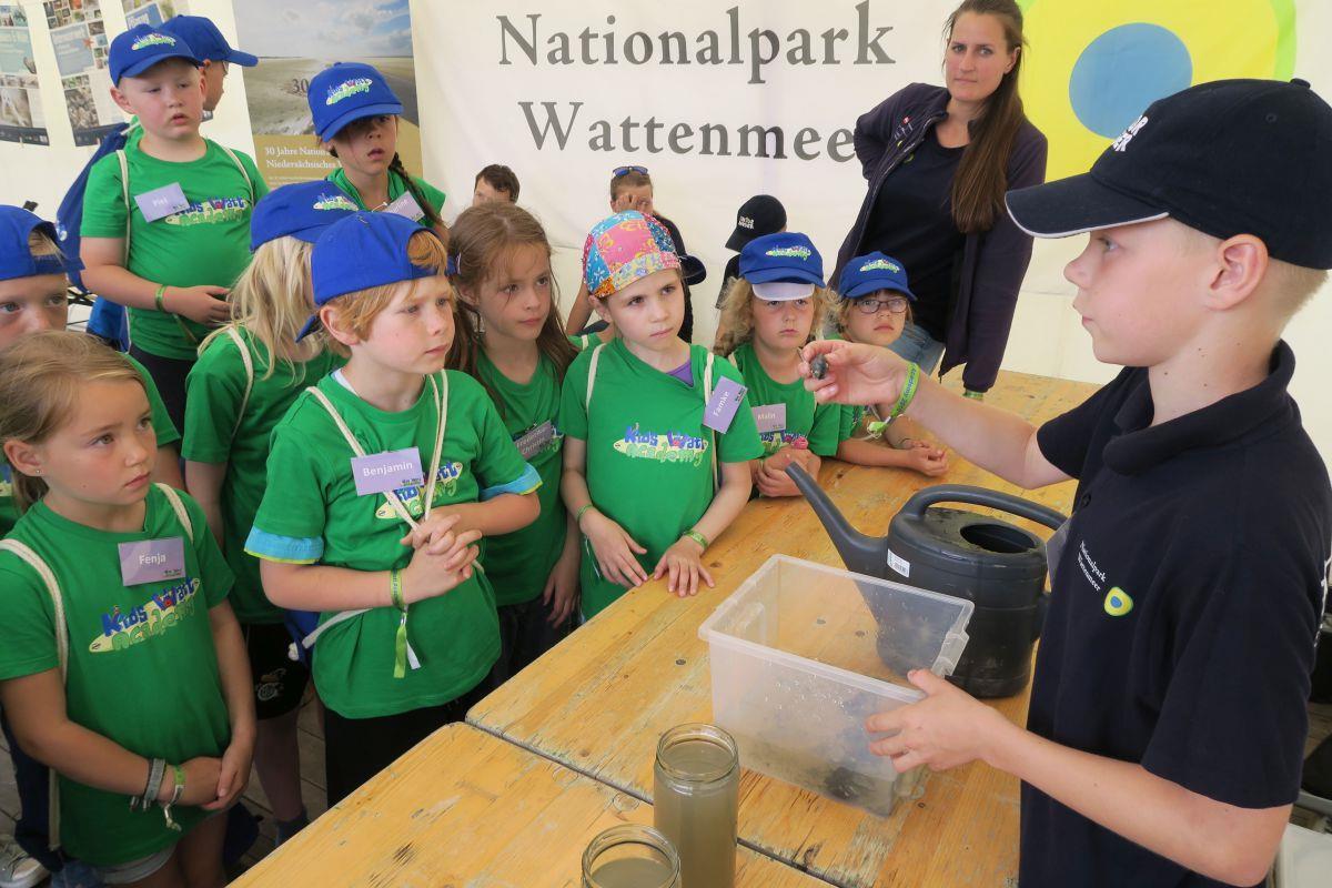 Der zehn Jahre alte Tarek aus Schortens war einer der Experten bei der Kids Watt Academy. Er erklärte den Teilnehmern, was eine Miesmuschel alles leisten kann. 150 Mädchen und Jungen im Alter von sechs bis 14 Jahren nahmen an der Veranstaltung teil.