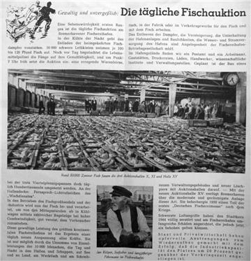Der Zeitgeist spricht aus den Heften und Broschüren der 1950er Jahre. 