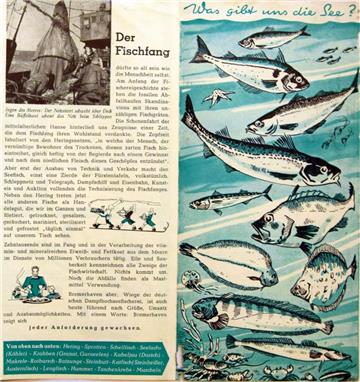 Der Zeitgeist spricht aus den Heften und Broschüren der 1950er Jahre. 