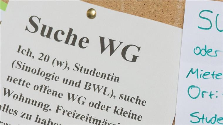 WG-Zimmer für Studierende deutlich teurer Der Zettel einer WG-Zimmer-Suchenden hängt an einem Schwarzen Brett.
