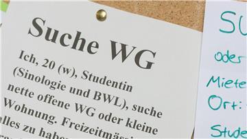 Der Zettel einer WG-Zimmer-Suchenden hängt an einem Schwarzen Brett.