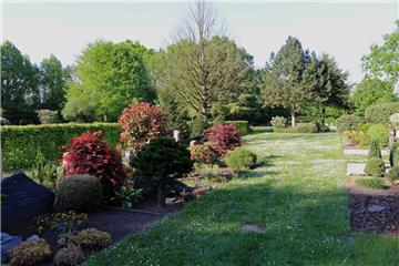 Der Zevener Friedhof präsentiert sich naturnah gestaltet und damit als ein Refugium für Pflanzen und Tiere.