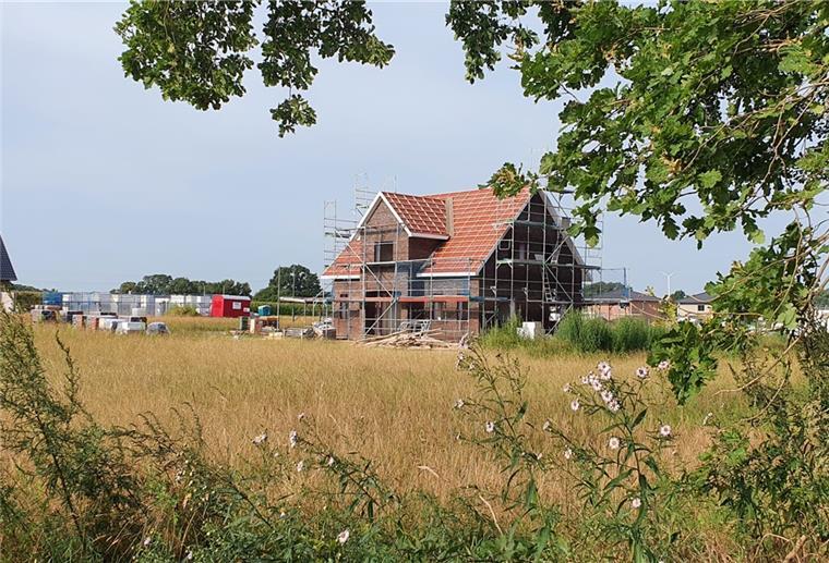 Geestland: Riesen-Run auf die Baugebiete Der zweite Bauabschnitt von „Hof Eckhoff“ in Bad Bederkesa (Foto) ist voll, für den geplanten dritten gibt es eine Interessentenliste, die deutlich überzeichnet ist.