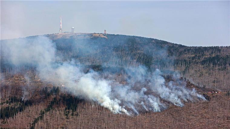 Derzeit ist die Waldbrandgefahr in weiten Teilen Sachsen-Anhalts sehr hoch.