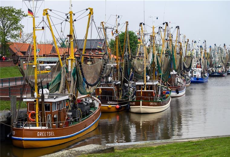EU-Länder einigen sich auf Fangmengen in der Nordsee Boote liegen im Kutterhafen in Greetsiel.