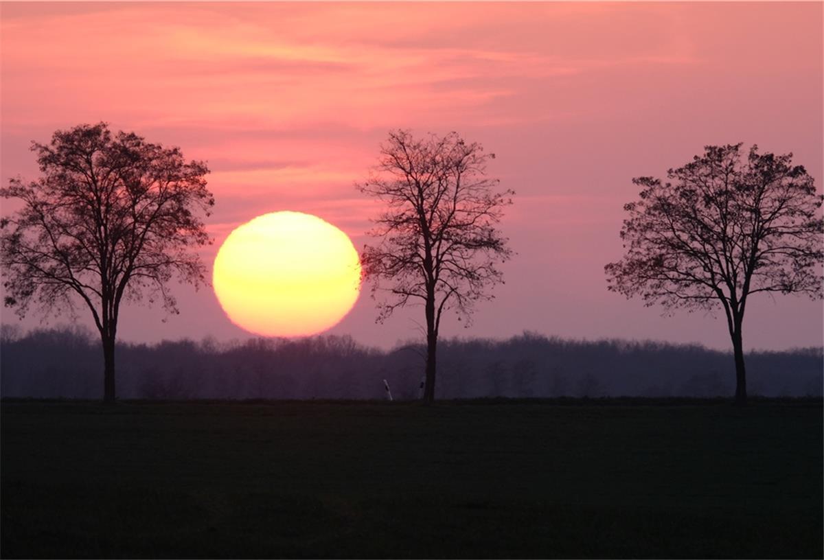 Deutschland darf sich in der Karwoche über viel Sonne freuen.