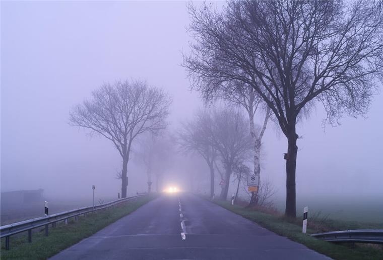 Nebelwarnung für die Region: Wichtige Hinweise für Verkehrsteilnehmer Dichter Nebel im Elbe-Weser-Dreieck und der Wesermarsch: Autofahrer aufgepasst.