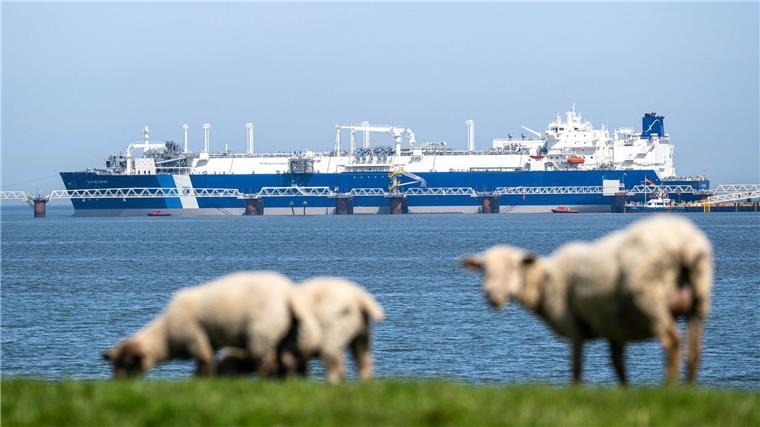 Ohne Chlor und feste Brücke - Zweites LNG-Terminal vor Start Die 277 Meter lange „Excelsior“ kommt ohne eine feste Landverbindung aus.