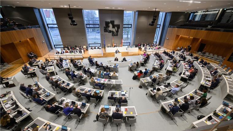 AfD will Versammlungen für Ausländer einschränken Die Abgeordneten sitzen während einer Sitzung im niedersächsischen Landtag.
