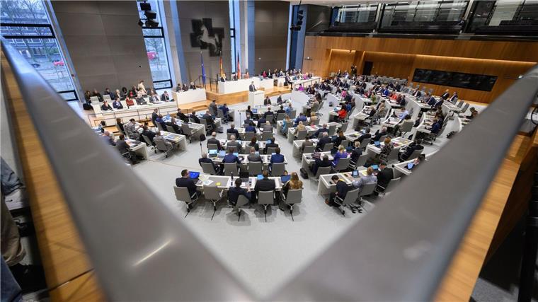 Durchsuchungen bei AfD: FDP-Politiker fordern erneut Neuwahl Die Abgeordneten sitzen während einer Sitzung im niedersächsischen Landtag.