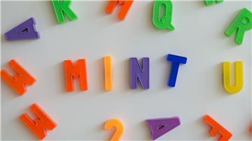 Die Abkürzung MINT steht für die Fächer Mathematik, Informatik, Naturwissenschaften und Technik. (Symbolbild)