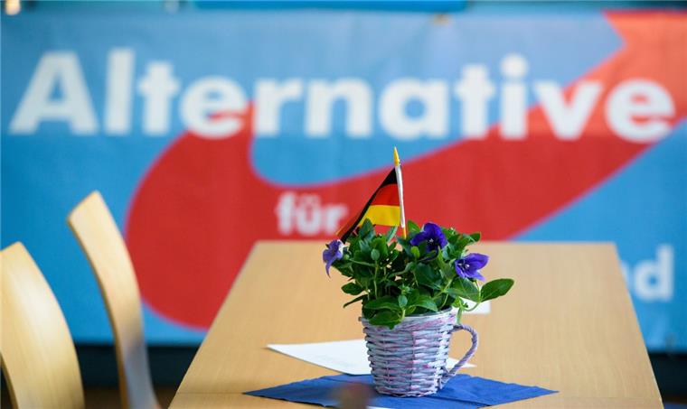 Die AfD ist in der Bremerhavener Stadtverordnetenver-sammlung künftig nur noch mit ihrem Einzelkämpfer Thomas Jürgewitz vertreten.