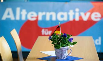 Die AfD ist in der Bremerhavener Stadtverordnetenver-sammlung künftig nur noch mit ihrem Einzelkämpfer Thomas Jürgewitz vertreten.