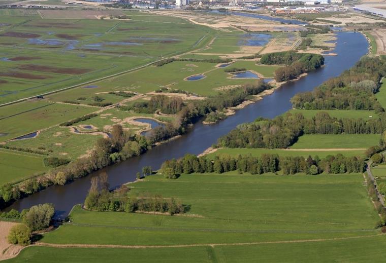 Alte Weser bei Ueterlande wird zum Fischparadies Die Alte Weser, die noch vor rund 100 Jahren ein Seitenarm der Weser war, ist heute ein Stillgewässer mit geringer Tiefe und soll jetzt vom bestehenden Grabennetz abgetrennt werden.