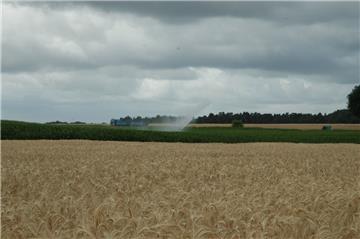 Die anhaltende Trockenheit macht vielen Landwirten zu schaffen. Selbst Maisfelder werden beregnet. Die Ernteprognose ist mau.