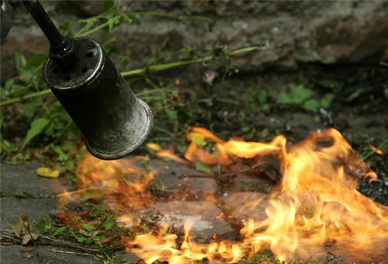 Delmenhorster setzt Wiese mit Unkrautbrenner in Flammen Mit dem Gasbrenner fackelt ein Gärtner Unkraut, das zwischen den Pflastersteinen wächst, ab.