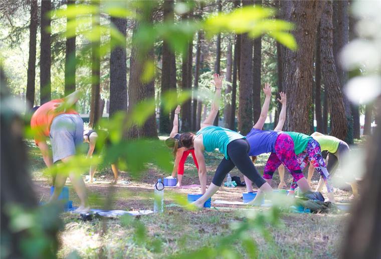 Menschen absolvieren Turnübungen im Wald