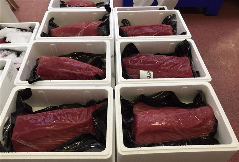 Die aus dem Thunfisch gewonnen Filets kommen gefroren in Bremerhaven an und werden dort für den Handel portioniert.