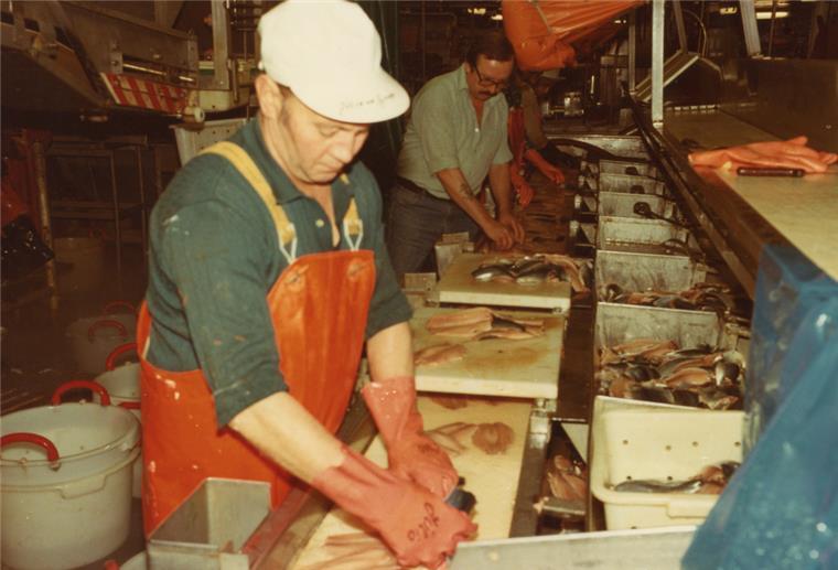 Fischer 