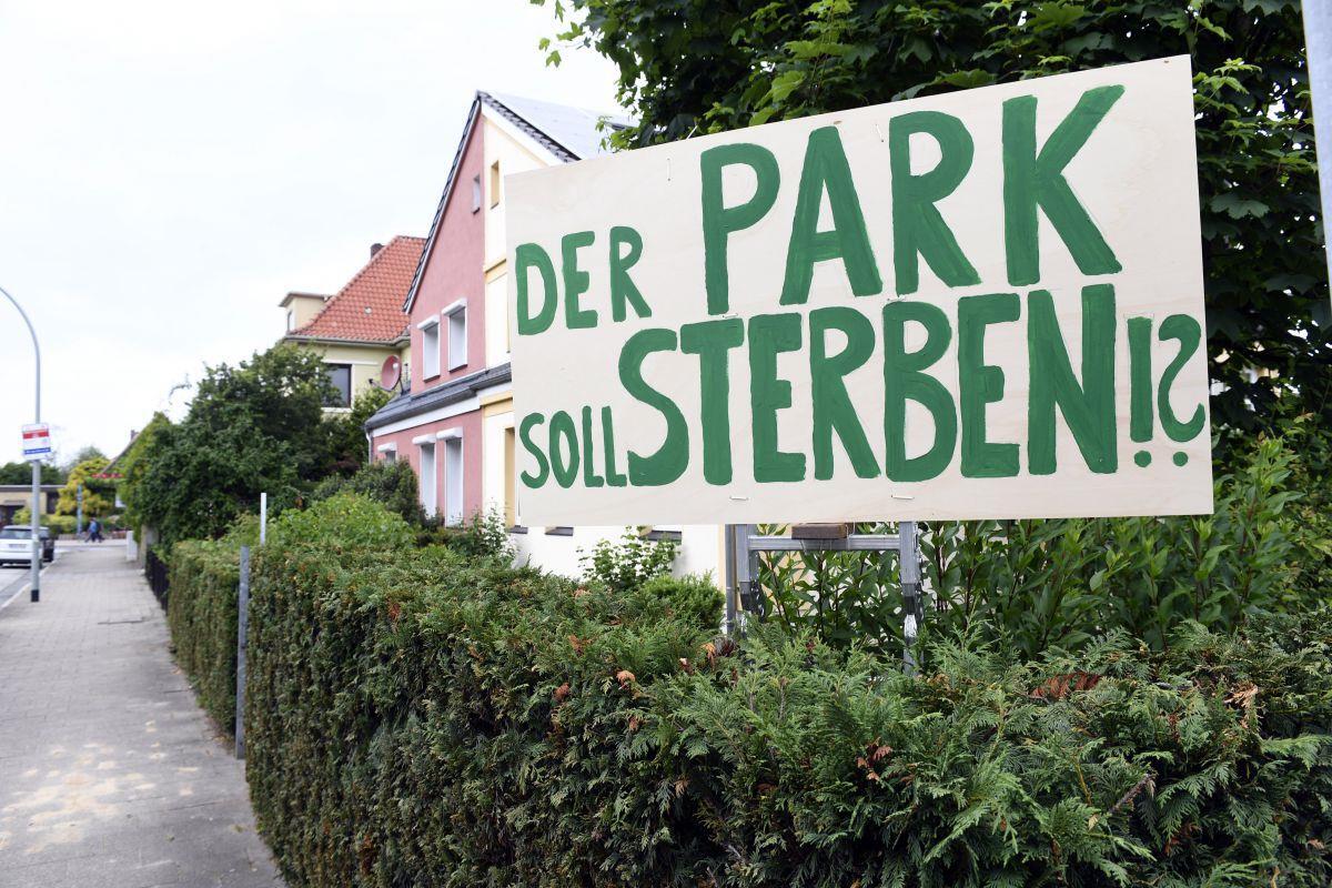 Die Bäume hinter dem Gesundheitsamt müssen nicht weg.