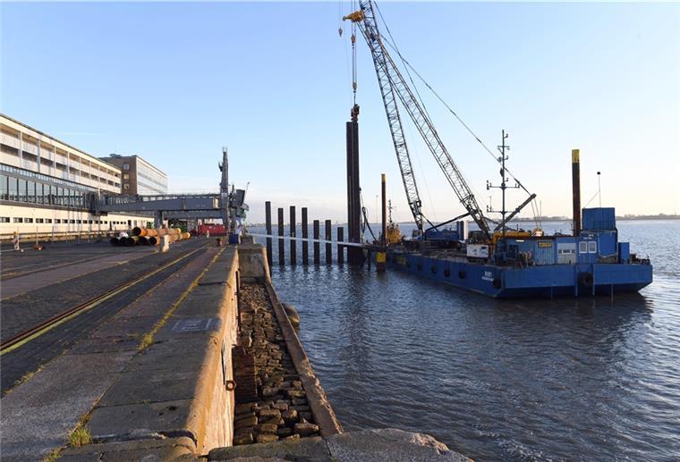 Kreuzfahrt: 80 Millionen Euro für neue Kaje in Bremerhaven Vor dem Bug der "Aidacosma" wird bereits gerammt.