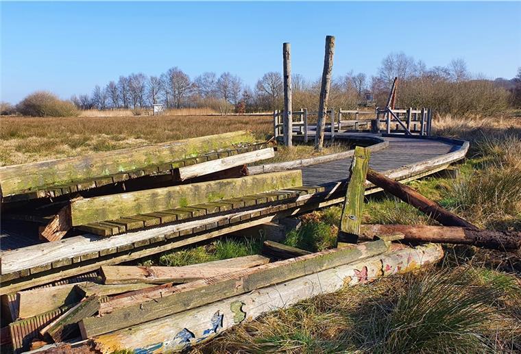 Bald sollen auf den „Beerster Wischen“ auch Moorschnucken weiden Die „Beerster Wischen", Naturerlebnisraum und außerschulischer Lernort in Bad Bederkesa, werden neu angelegt. Voraussichtlich bis Oktober bleibt das Areal für Besucher gesperrt.
