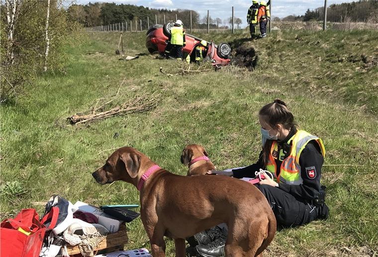 Polizisten kümmern sich um Hundedamen Zwei aus einem Unfallwagen geborgene Hundedamen werden neben der Autobahn von einer Polizistin betreut