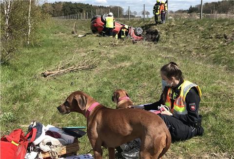 Zwei aus einem Unfallwagen geborgene Hundedamen werden neben der Autobahn von einer Polizistin betreut