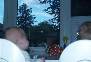 Zwei Kinder sitzen an einem Tisch vor einem Fenster mit Einschussloch.