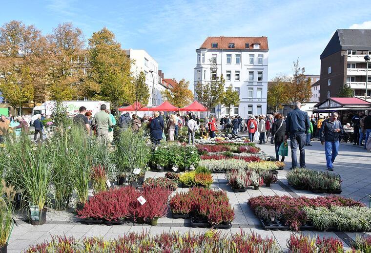 Herbst- und Heideblütenfest in Geestemünde Die Besucher können ein großes Angebot an herbstlichen Pflanzen und Gartenzubehör entdecken.