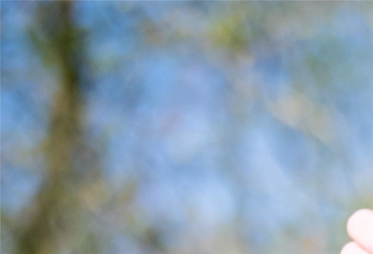 Seuchenausbruch: Imker im Cuxland haben Angst um ihre Bienen Die Beverstedter Imkerin Lena Hoyer (35) kontrolliert eines ihrer Bienenvölker am Stoteler See. Bisher ist es nicht von der amerikanischen Faulbrut betroffen. Foto: Hartmann