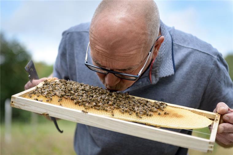 Bremerhaven: Dieser Imker gibt seinen Bienen ein Küsschen zur Begrüßung Die Bienen von Imkermeister Detlev Biel sind so zahm, dass er sie zur Begrüßung auch mal küsst. Einen Imkeranzug trägt er nur selten.