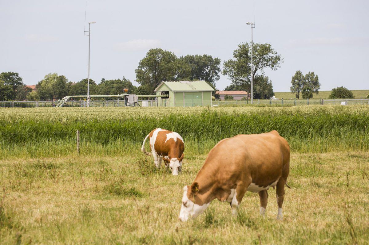 Kavernengelände in Nordenham-Blexen ist verkauft Die bisherige Eigentümerin des Untertagspeichers, die BASF-Tochter Wintershall, ist eine Fusion mit dem Unternehmen DEA eingegangen und will sich nun anderen Geschäftsfeldern widmen.