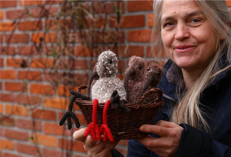 Butjadingens Vogelwelt zum Anfassen Die braunen Brachvögel waren die ersten Geschöpfe. Später kamen die Rotschenkel dazu.