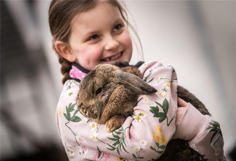 Bremer Tierschutzbeauftragte warnt: Kaninchen sind keine Schmusetiere Emma Jaide hält ihr Zwergwidder-Kaninchen Elsa im Arm