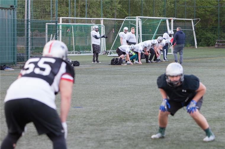 Heimdebüt gegen Oldenburg bringt die Seahawks in Stimmung Die Bremerhaven Seahawks haben fleißig trainiert, um für ihr Heimdebüt fit zu sein. Am Sonntag sind die Oldenburg Knights im Nordseestadion zu Gast.