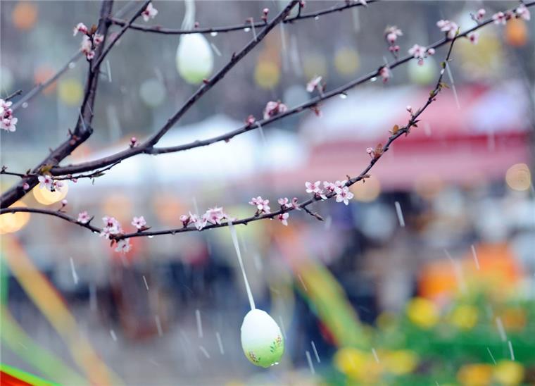 Osterwetter: Eier lieber drinnen suchen Die bunten Ostereier könnten morgen ziemlich nass werden.