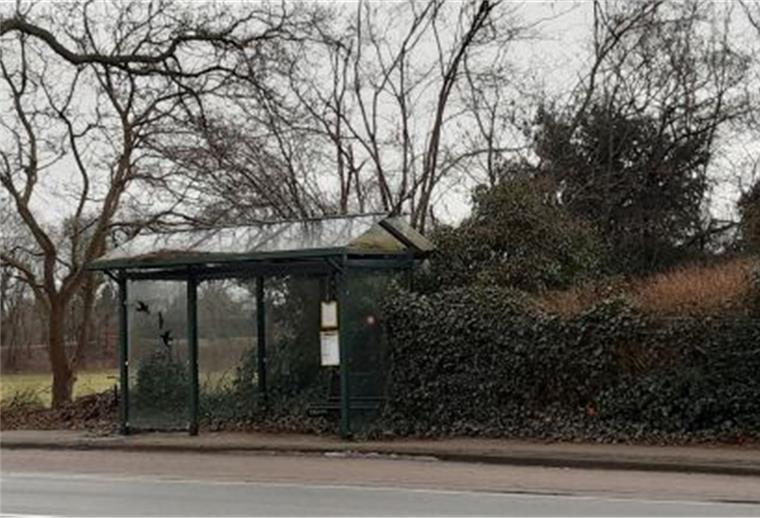 Nesse: Haltestelle soll barrierefrei werden Die Bushaltestelle „Wulsdorfer Straße“ in Nesse, hier die Ostseite, soll barrierefrei ausgebaut werden.