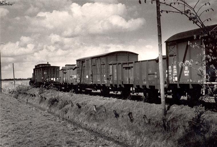 Kilometerstein 9,8 ist zurück in Stollhamm Die Butjadinger Bahn im Jahr 1955: Damals markierten die Kilometersteine alle 100 Meter entlang der Strecke.