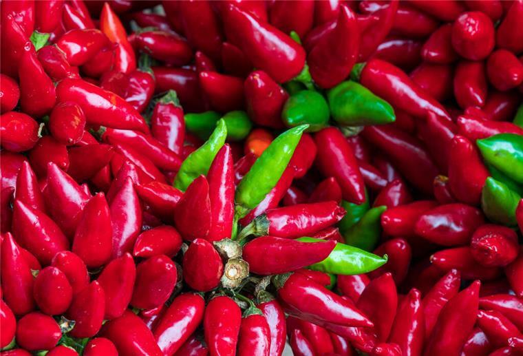 Klein, rot und scharf: Was die Chili so alles kann Rot und grüne Chilischoten