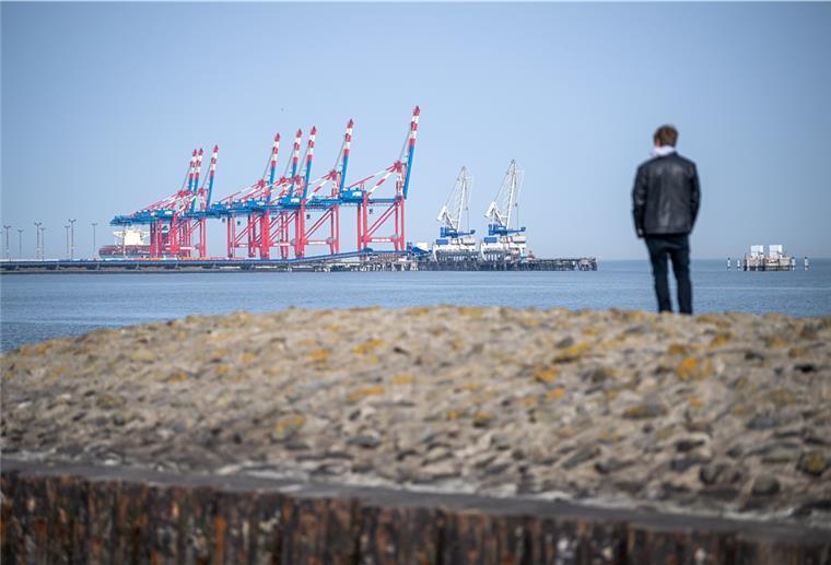 Ein Spaziergänger schaut vom Deich aus auf den Jade-Weser-Port.