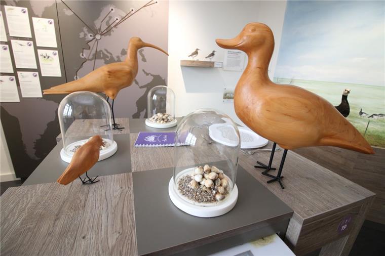 Gütesiegel für das Museum und Nationalparkhaus Fedderwardersiel Die Dauerausstellung im Museum und Nationalparkhaus Fedderwardersiel war 2018 überarbeitet und neu eröffnet worden.
