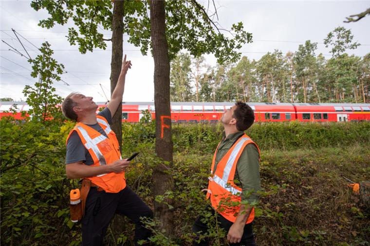 So bereitet sich die Deutsche Bahn auf Herbststürme vor Die Deutsche Bahn will sich auf Herbststürme vorbereiten und stutzt die Bäume am Streckenrand.