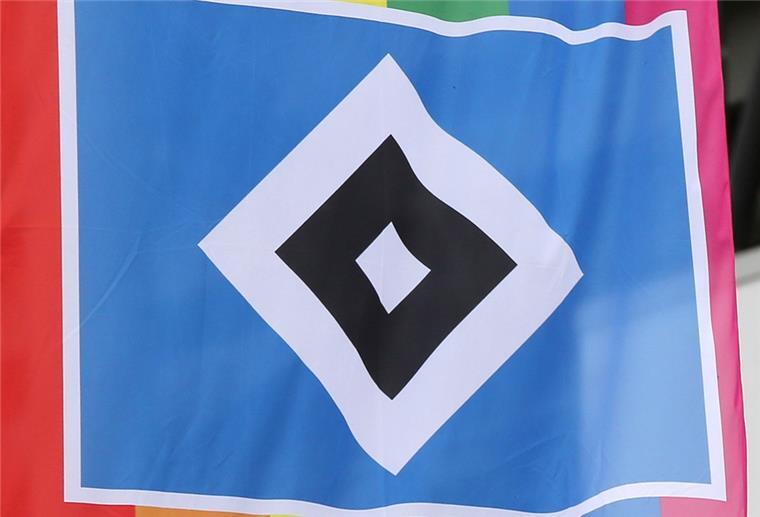 DFL sagt HSV-Heimspiel nun doch ab Die Deutsche Fußball-Liga hat das Zweitligaspiel zwischen dem Hamburger SV und dem FC Erzgebirge Aue kurzfristig abgesetzt.