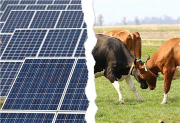 Die Diskussion um Freiflächen-Photovoltaikanlagen auf landwirtschaftlichen Flächen ist noch ganz neu. Butjadingen gehört zu den ersten Gemeinden der Region, die sie führen möchte.