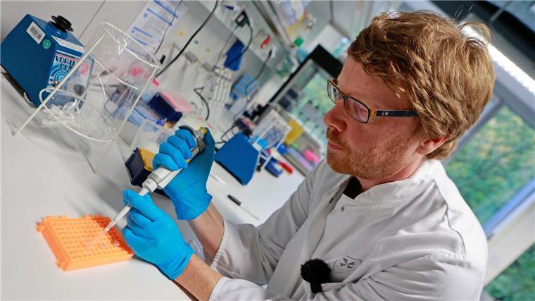 Die DNA-Analyse hat ergeben, dass Flumo ein Schaf ist.
