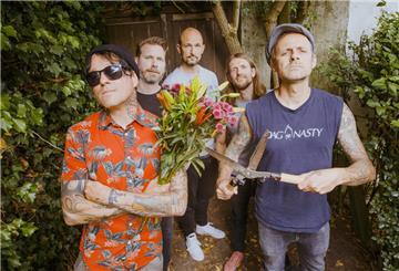 Die Donots