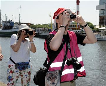 Im Takt der Trommeln: Die Drachenboote auf dem Wasser bildeten ein tolles Motiv für die Fotografen.