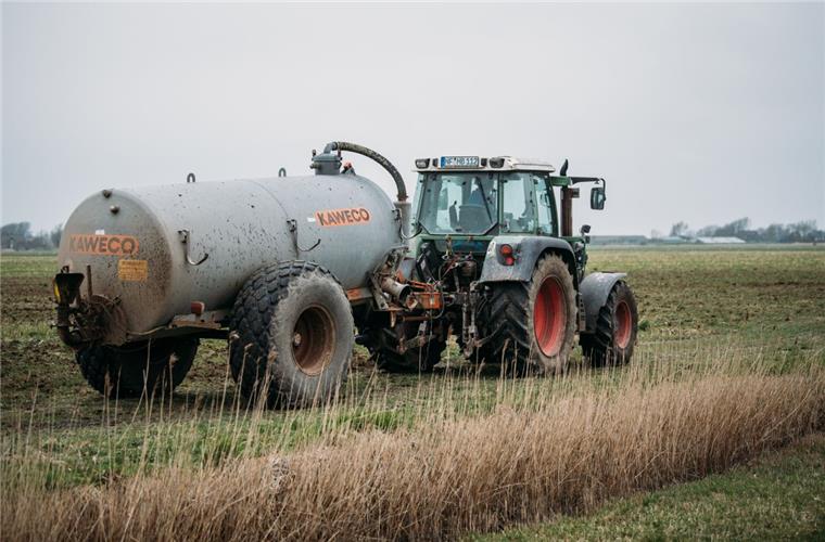Thema Gülle: Düngeregeln für viele Bauern werden erneut verschärft Die Düngeregeln für viele Bauern werden erneut verschärft.