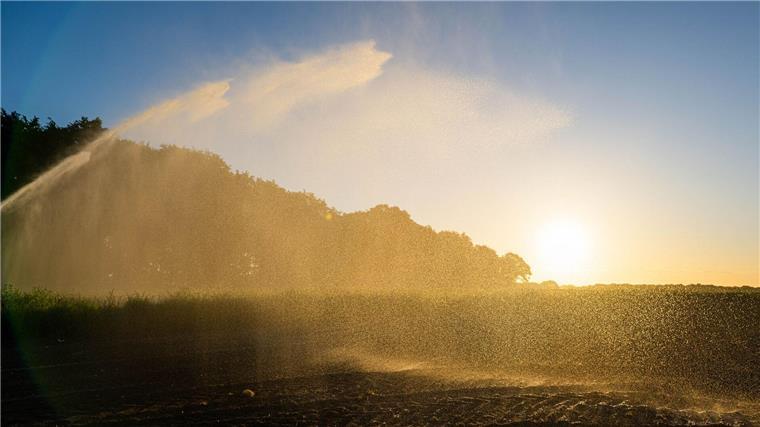 Dürre in Niedersachsen hält weiter an Die Dürre in Niedersachsen hält an, es ist kein langanhaltender Regen in Sicht. (Symbolfoto)